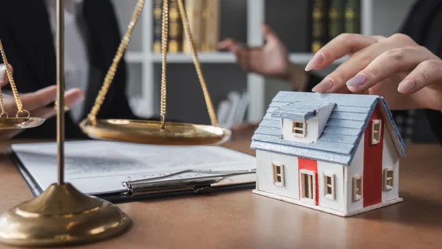 Lawyers and Law Firms